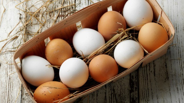 Kahverengi Yumurta Mı Beyaz Yumurta Mı?