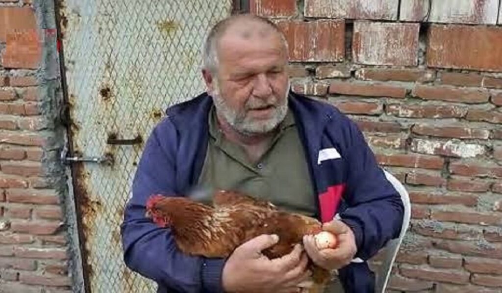 Görenler gözlerine inanamıyor. Tavuğuna maydanoz yediren adamın yumurtalarına bakın…